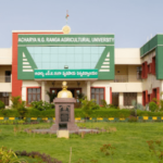 Angrau-guntur-Acharya NG Ranga Agricultural University-500x267